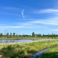 425 Acres FM 230 images 3