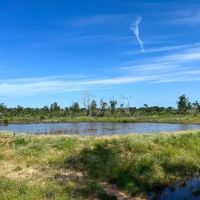 425 Acres FM 230 images 4