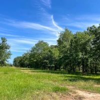 425 Acres FM 230 images 5