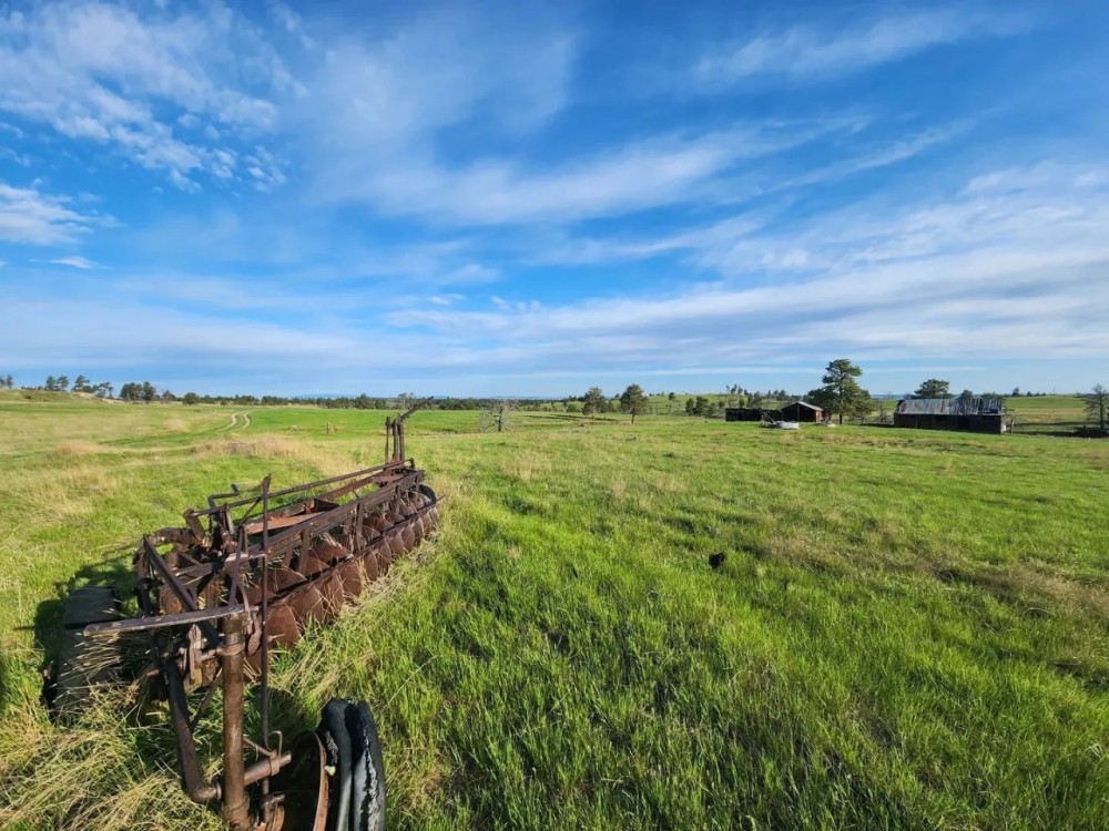 Boot Print Ranch featured image