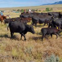 Boot Print Ranch images 2