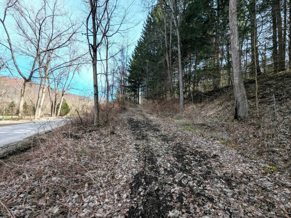 22 acre Hunting and Recreational Property in Cohocton NY Ryan Hollow Rd featured image
