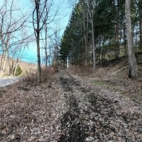 22 acre Hunting and Recreational Property in Cohocton NY Ryan Hollow Rd