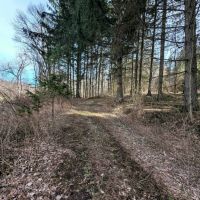 22 acre Hunting and Recreational Property in Cohocton NY Ryan Hollow Rd images 2