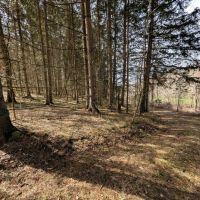22 acre Hunting and Recreational Property in Cohocton NY Ryan Hollow Rd images 3