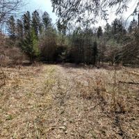 22 acre Hunting and Recreational Property in Cohocton NY Ryan Hollow Rd images 4