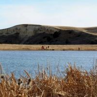 Wyoming Bird Hunting Irrigated Farm images 2