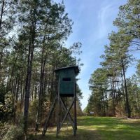 52 Acres in Claiborne Parish LA images 2