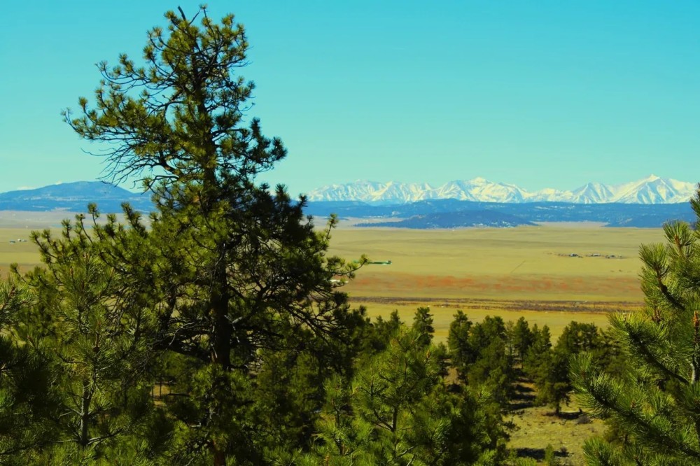 Elk Ridge Paradise featured image