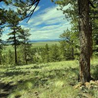 Elk Ridge Paradise images 4