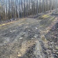 13 acre Off-Grid Recreational and Hunting Property in Scio NY Stony Hill Rd images 3