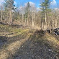 13 acre Off-Grid Recreational and Hunting Property in Scio NY Stony Hill Rd images 4