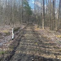 13 acre Off-Grid Recreational and Hunting Property in Scio NY Stony Hill Rd images 5