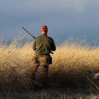 Oxbo Preserve images 2