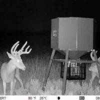 OK - Ellis 463 acres -