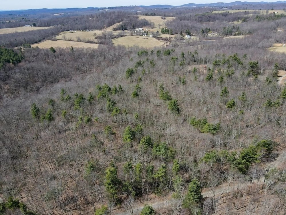 4.9 acres of Rural Residential and Recreational Land For Sale in Patrick County VA featured image