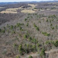4.9 acres of Rural Residential and Recreational Land For Sale in Patrick County VA
