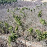 4.9 acres of Rural Residential and Recreational Land For Sale in Patrick County VA images 2