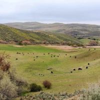Mann Creek Valley Farm amp Ranch images 2