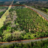 Buck Creek Hill Plantation images 2