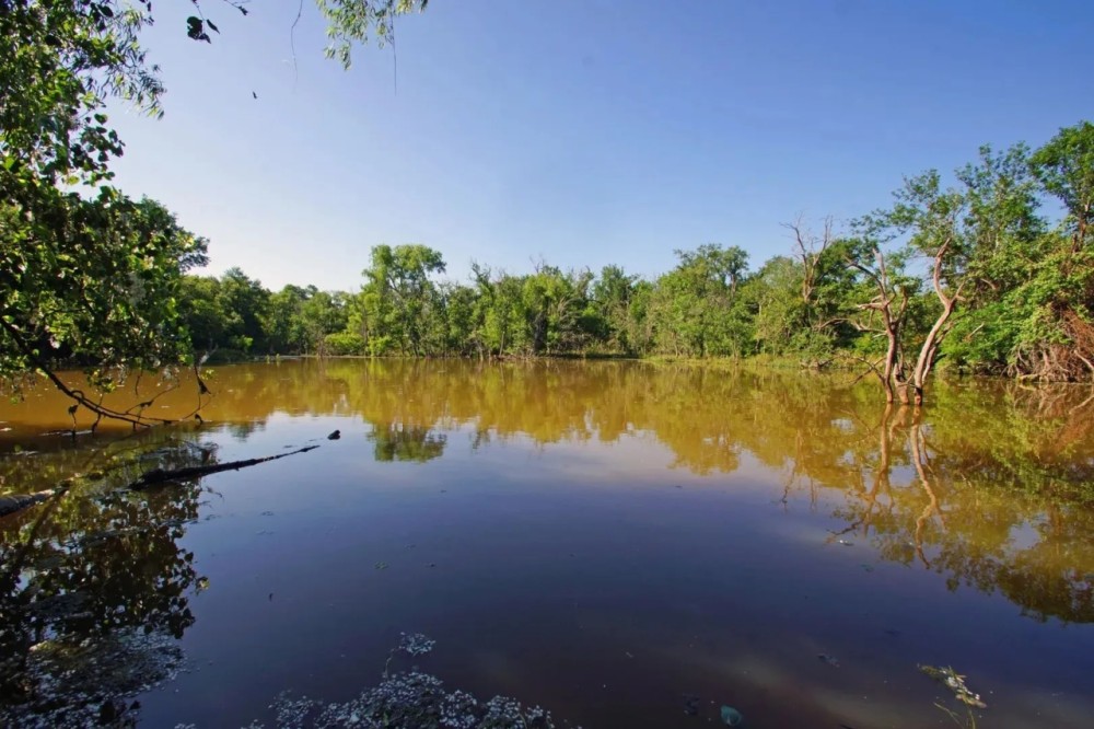 219 ac Sala Ranch on Darrs Creek in Holland TX featured image
