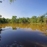 219 ac Sala Ranch on Darrs Creek in Holland TX images 1