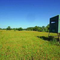 219 ac Sala Ranch on Darrs Creek in Holland TX images 4