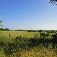 219 ac Sala Ranch on Darrs Creek in Holland TX images 5