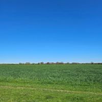 BUTTERFIELD RANCH images 2