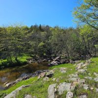 BUTTERFIELD RANCH images 4