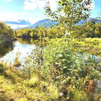 Alexander Creek Log Home images 2