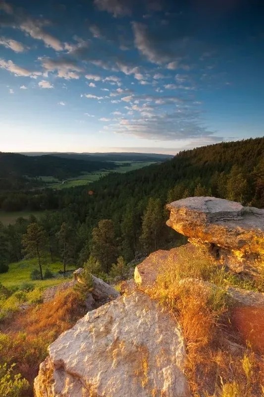 Wyoming Black Hills Living featured image