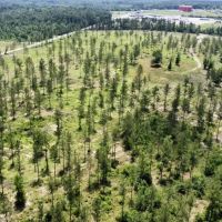Baldwin CR-64 at Interstate-10 Development Site images 3