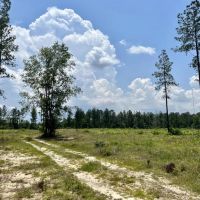 Baldwin CR-64 at Interstate-10 Development Site images 5
