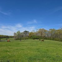 Gorgeous Property With Dream Potential images 2