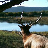North Rim Hunting Ranch images 2