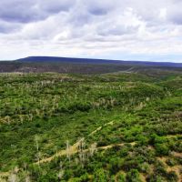 North Rim Hunting Ranch images 4