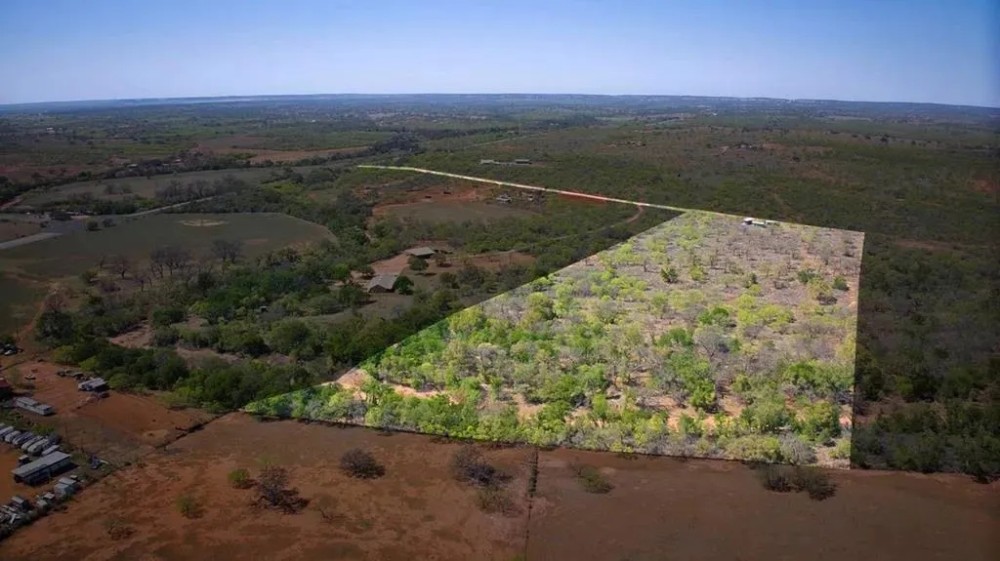 1635 N US Hwy 87 Mason TX 76856 featured image