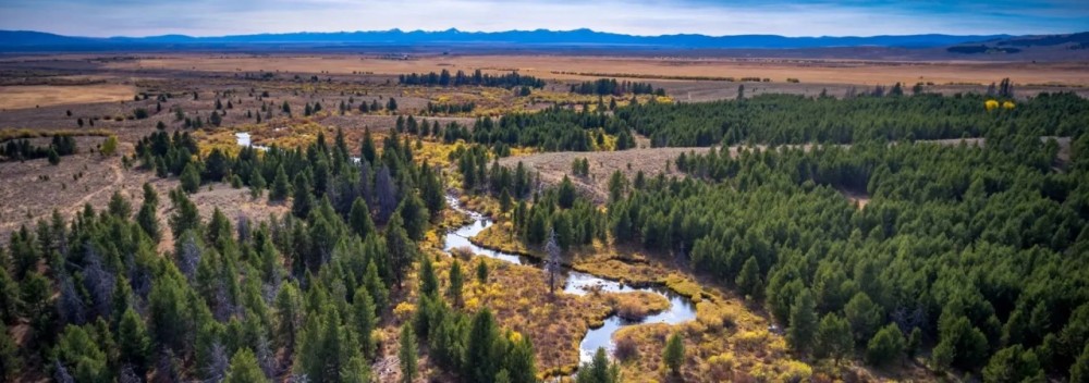 Arrow Ranch featured image