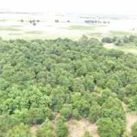 For Sale 135 Acres with 2 large Barns timber images 2