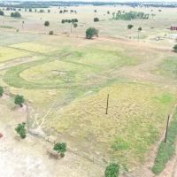 For Sale 135 Acres with 2 large Barns timber images 4