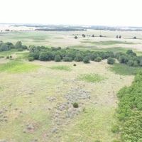 For Sale 135 Acres with 2 large Barns timber images 5