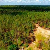 Tiger Creek Timber images 3