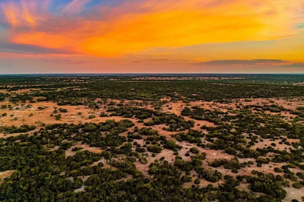 Real County Highveld Ranch W of Kerrville featured image