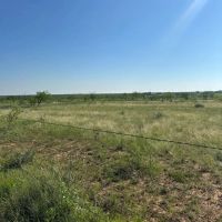 Price Improvement 10.5 Acres Tract 12 Shackelford County images 3