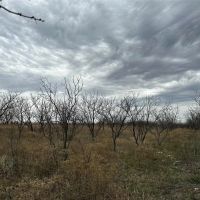 Price Improvement 10.5 Acres Tract 12 Shackelford County images 5