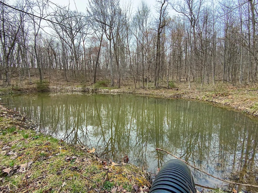 Beavers Ridge Rd - 80 acres - Pike County featured image