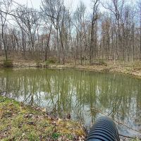 Beavers Ridge Rd - 80 acres - Pike County