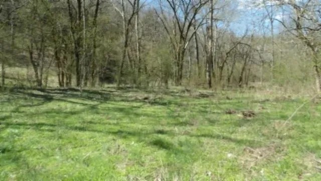 170.86 AC W CREEK SPRINGS PASTURE VIEWS EASY ACCESS OLD HOME SPRING WELL ROCK FORMATIONS NO RESTRICTIONS featured image