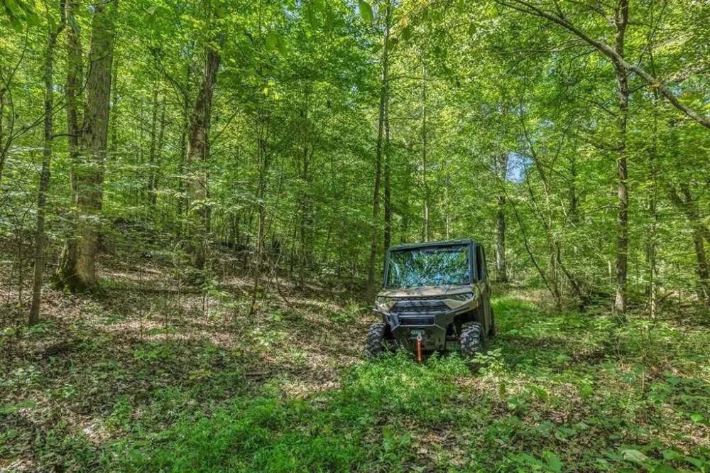 80 Acre Hunting Tract - Oil Wells - Bowling Green Kentucky featured image